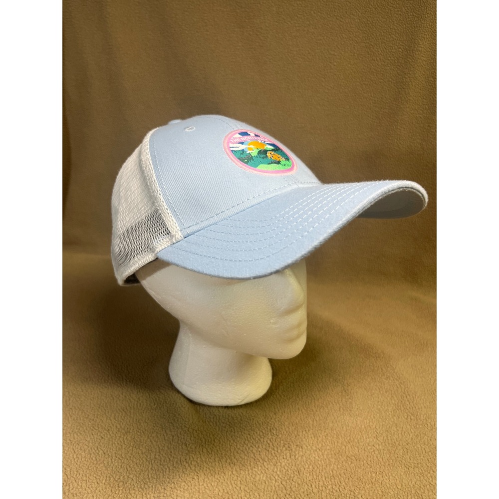 The North Face Light Blue White Mesh Snapback Trucker Hat Graphic Mountain Patch